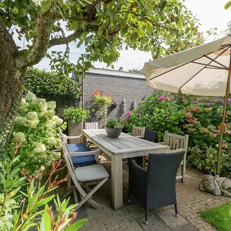 In Near Schoorl Dunes Bergen