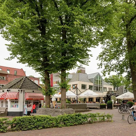 In Near Schoorl Dunes Bergen