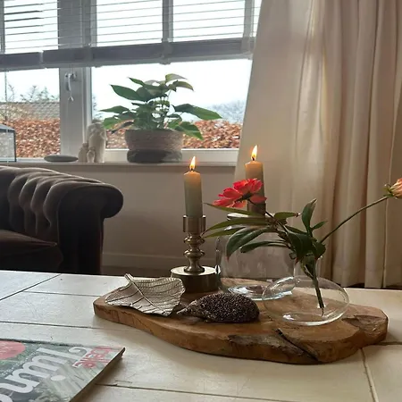 In Near Schoorl Dunes Appartement *