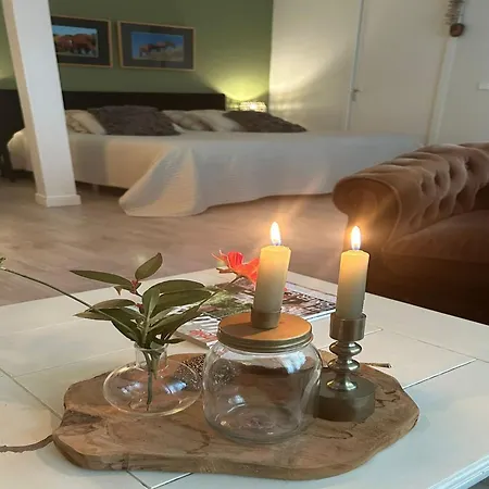 In Near Schoorl Dunes Appartement Bergen