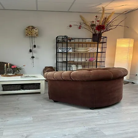 Appartement In Near Schoorl Dunes Bergen