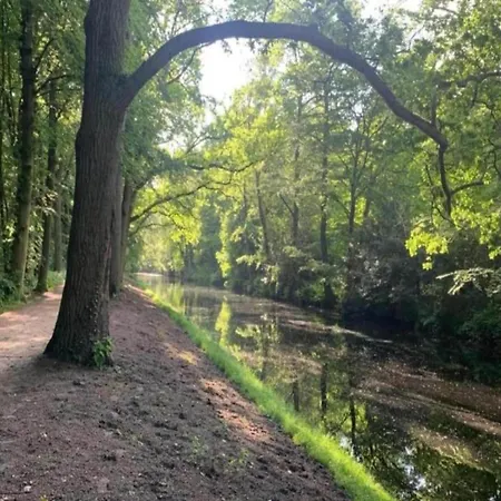 In Near Schoorl Dunes Appartement *