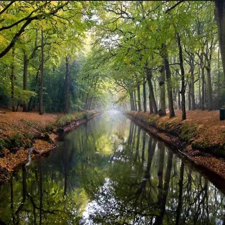 In Near Schoorl Dunes Appartement