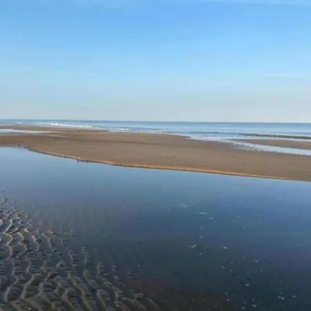 In Near Schoorl Dunes *