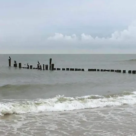 In Near Schoorl Dunes Bergen
