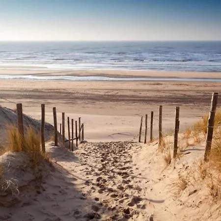 In Near Schoorl Dunes