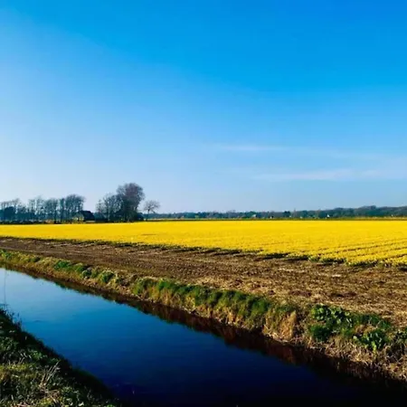 In Near Schoorl Dunes Appartement Bergen
