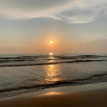 Appartement In Near Schoorl Dunes Bergen