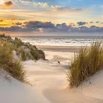 アパート In Near Schoorl Dunes *