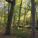 In Near Schoorl Dunes * ベルゲン