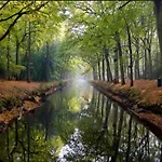 In Near Schoorl Dunes アパート