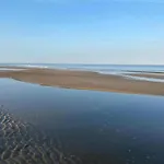 In Near Schoorl Dunes *