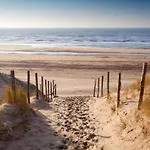 In Near Schoorl Dunes
