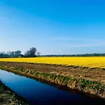 In Near Schoorl Dunes アパート ベルゲン