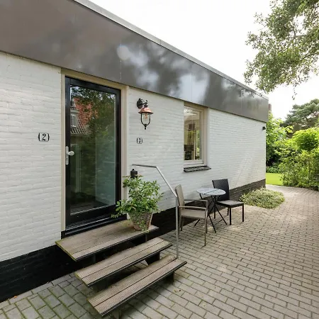 In Near Schoorl Dunes