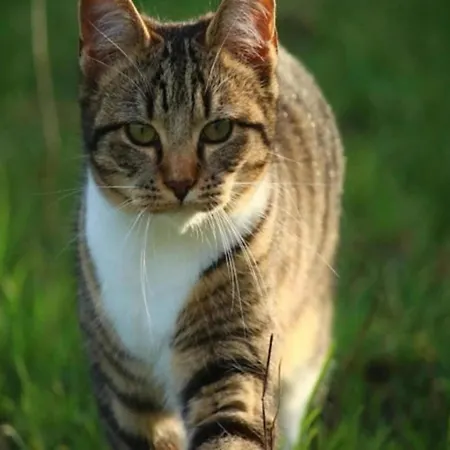 아파트 In Near Schoorl Dunes *