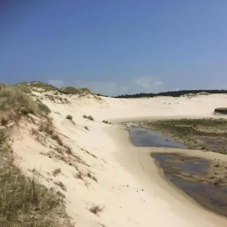 In Near Schoorl Dunes Διαμέρισμα *